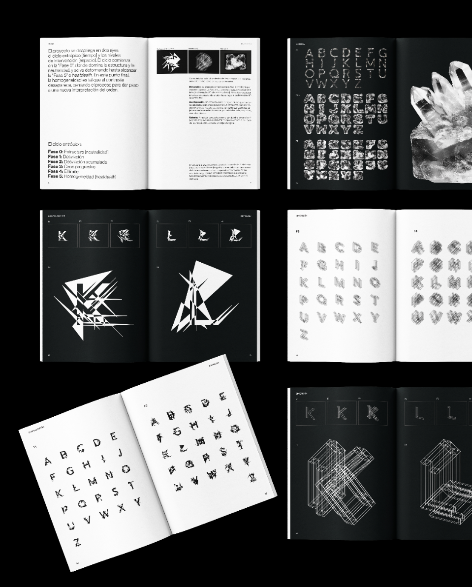 Entropic: between orden&caos, portfolio item 4