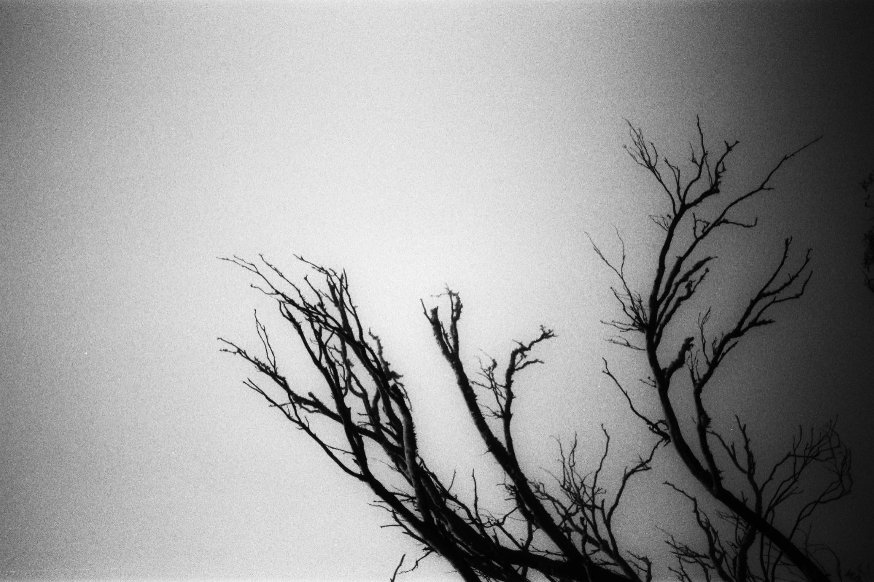 Sense, portfolio item 16