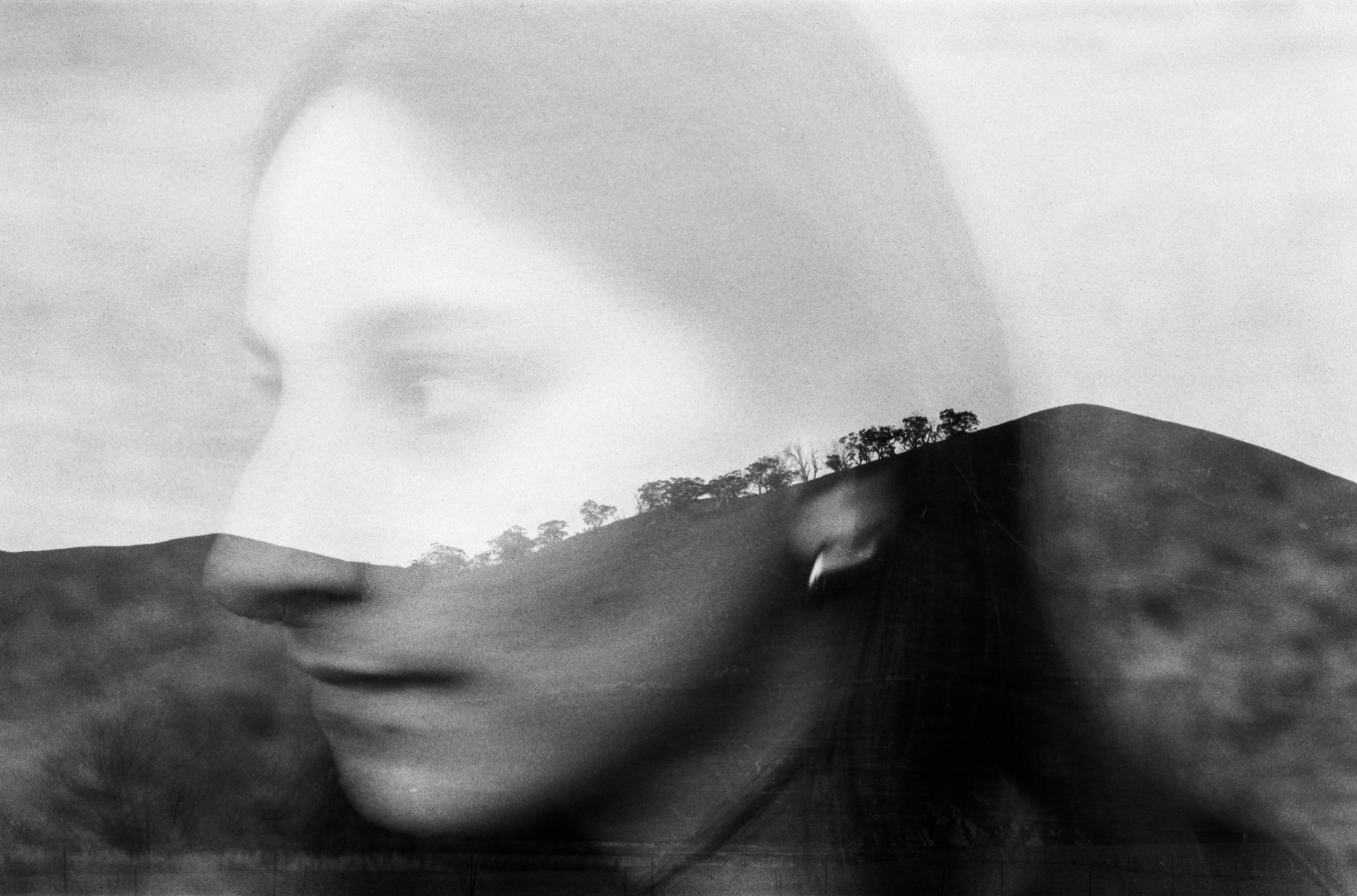 Sense, portfolio item 3
