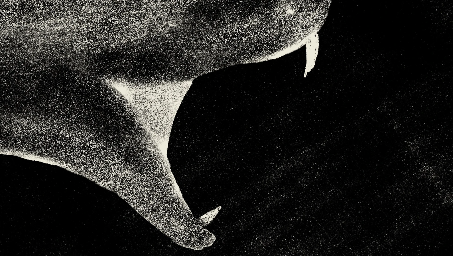 The ram the serpent the birth, portfolio item 8