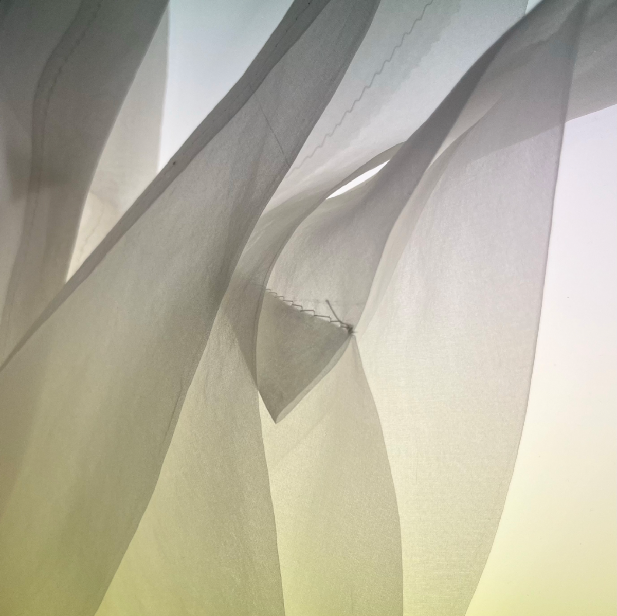Restraint as authorship, portfolio item 16