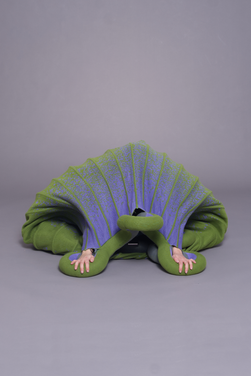 Amorphous Objects, portfolio item 17