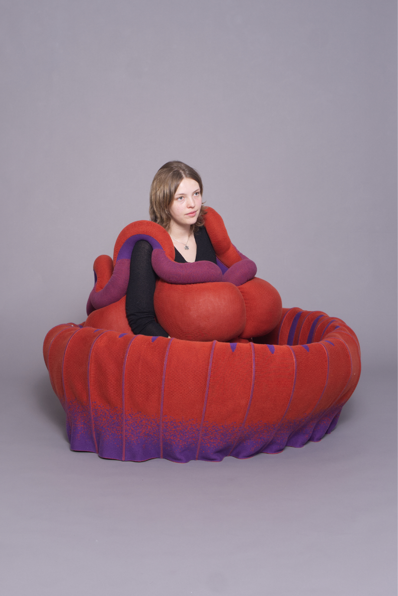 Amorphous Objects, portfolio item 13