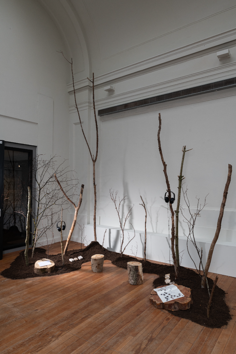 Rerooting Forward: Designing for Death Beyond Fast Furniture, portfolio item 3