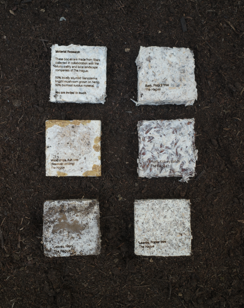 Rerooting Forward: Designing for Death Beyond Fast Furniture, portfolio item 11