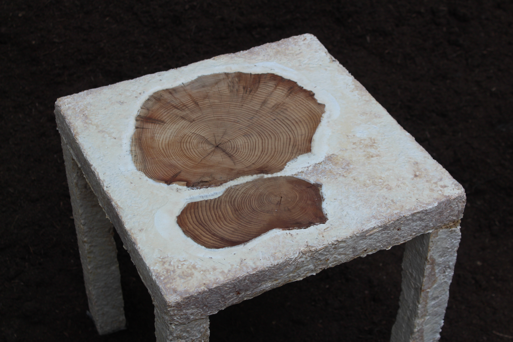 Rerooting Forward: Designing for Death Beyond Fast Furniture, portfolio item 12
