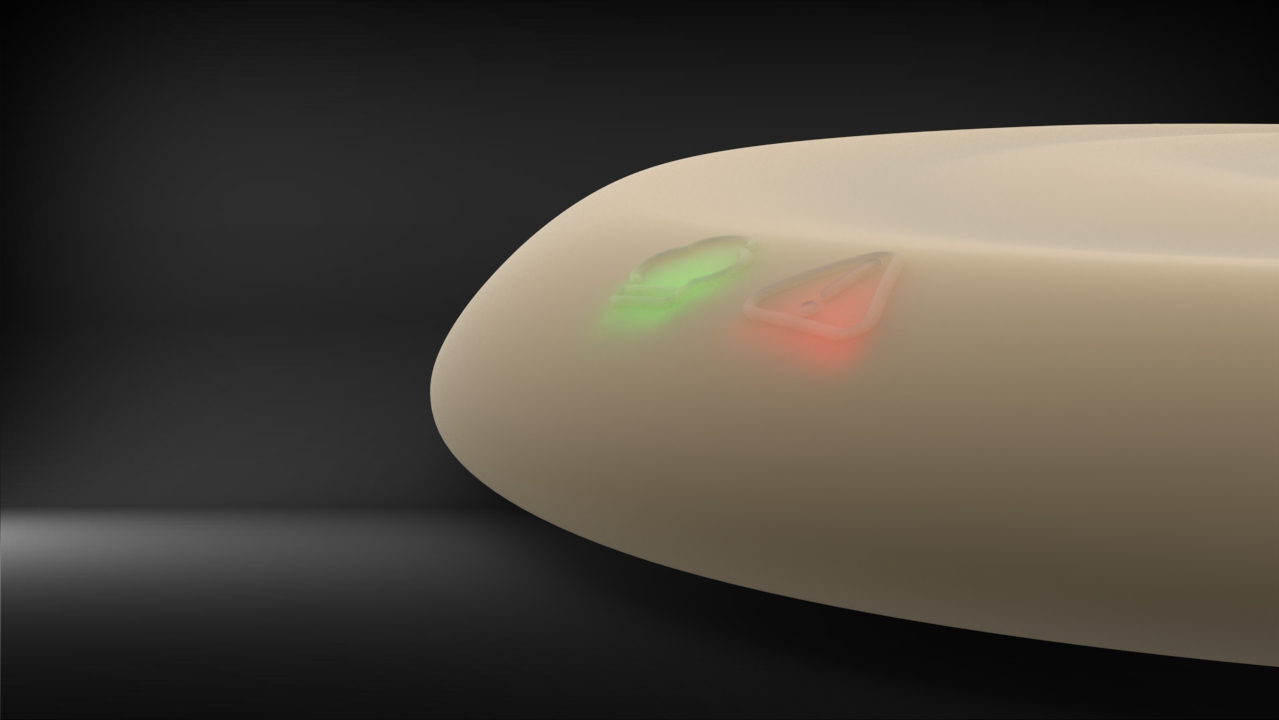 Pebivet, portfolio item 10