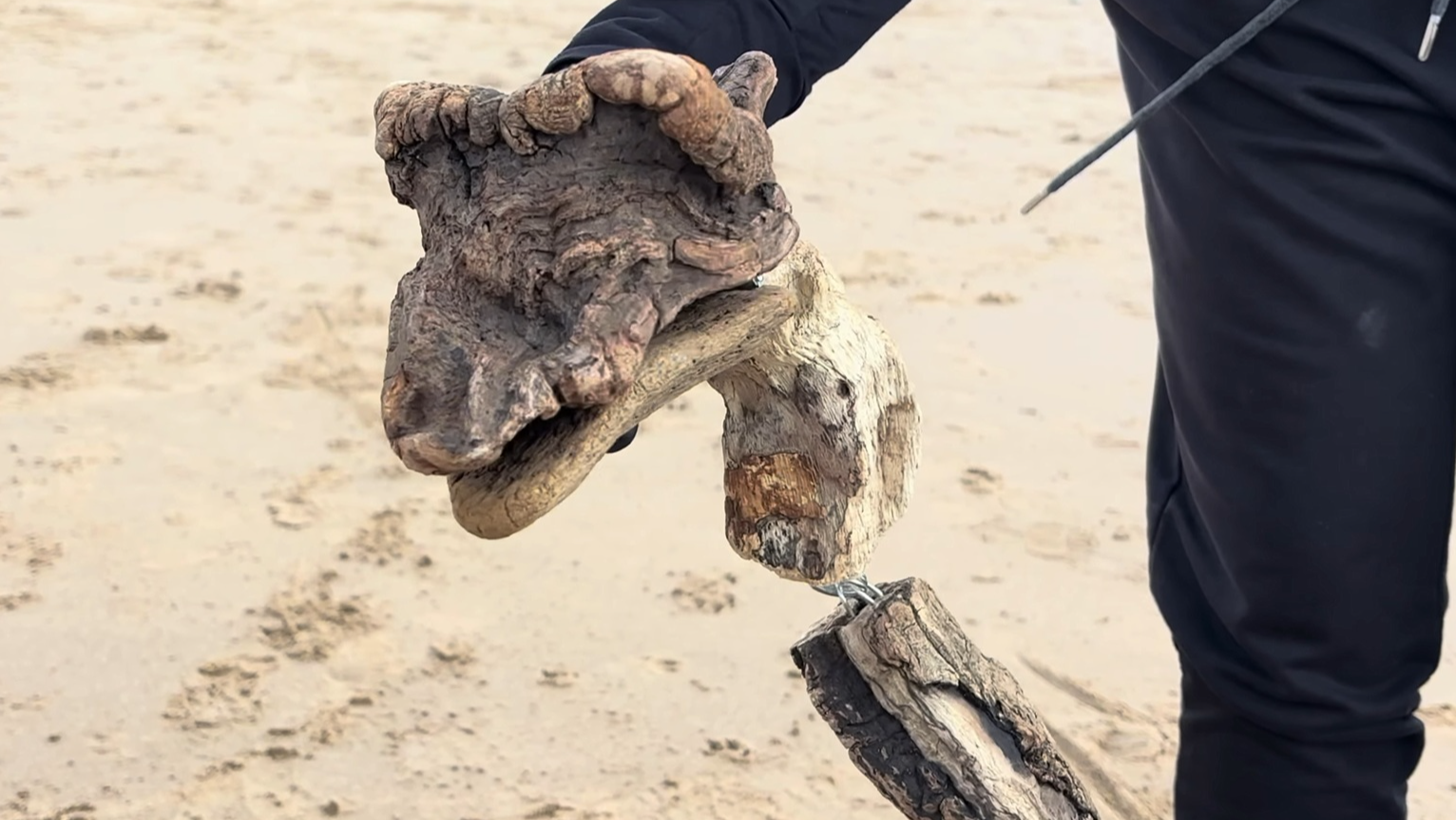 Driftwood puppets, portfolio item 6