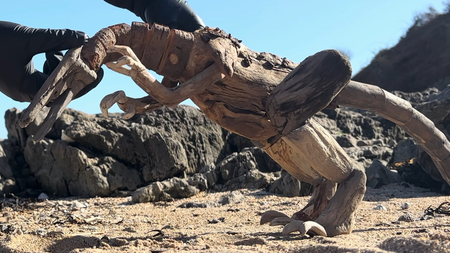 Driftwood puppets, portfolio item 15