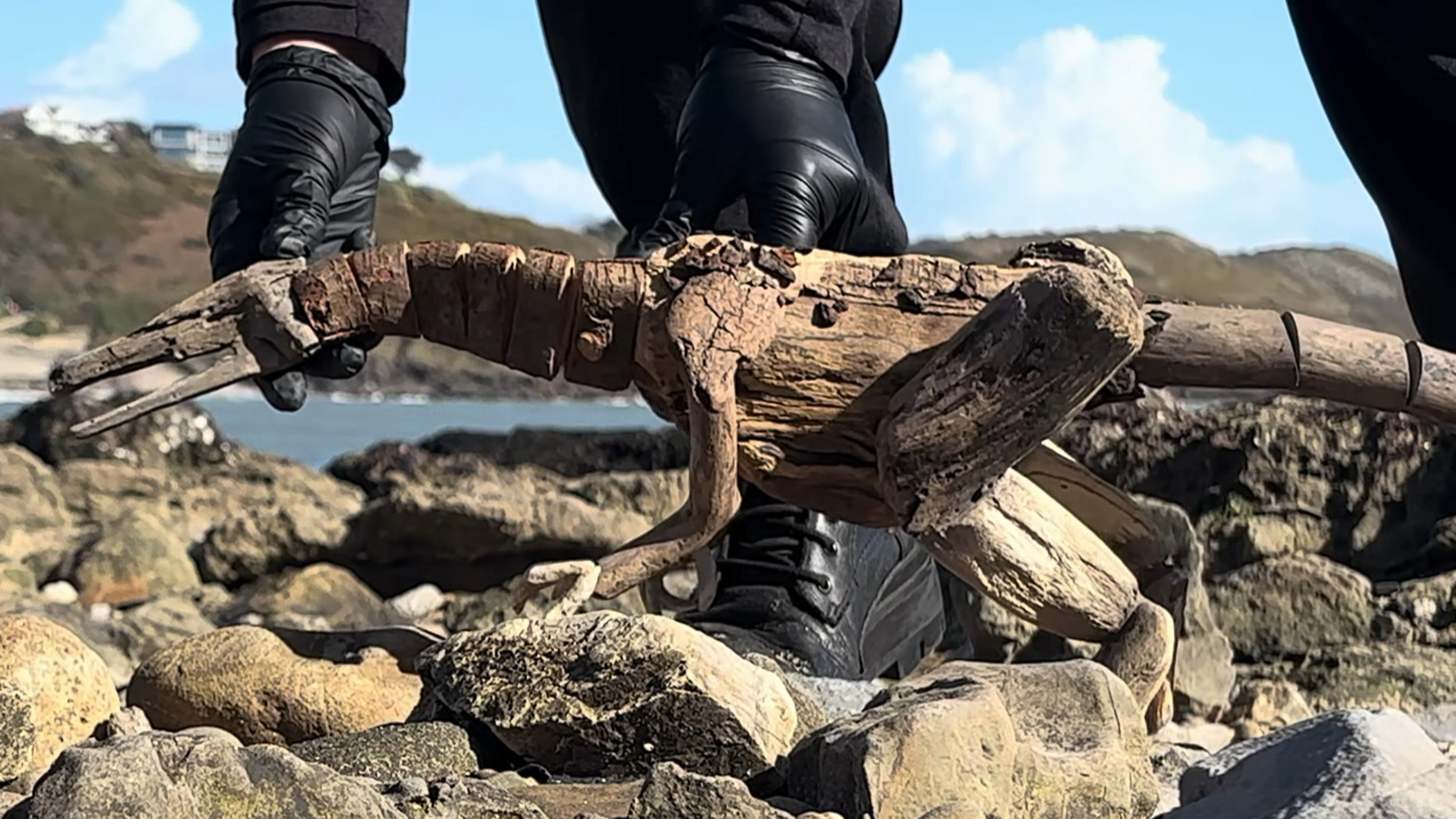 Driftwood puppets, portfolio item 16