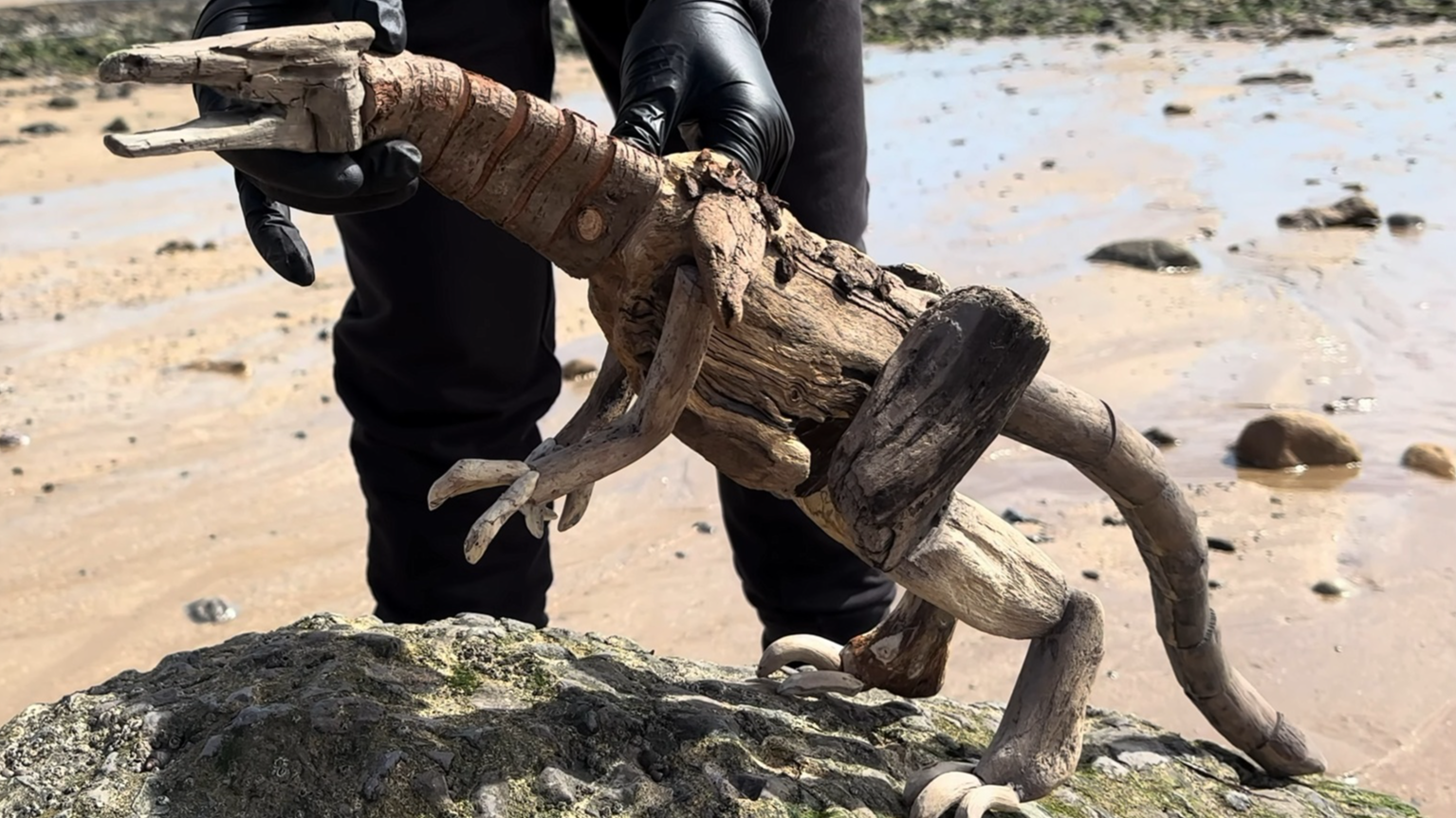 Driftwood puppets, portfolio item 18