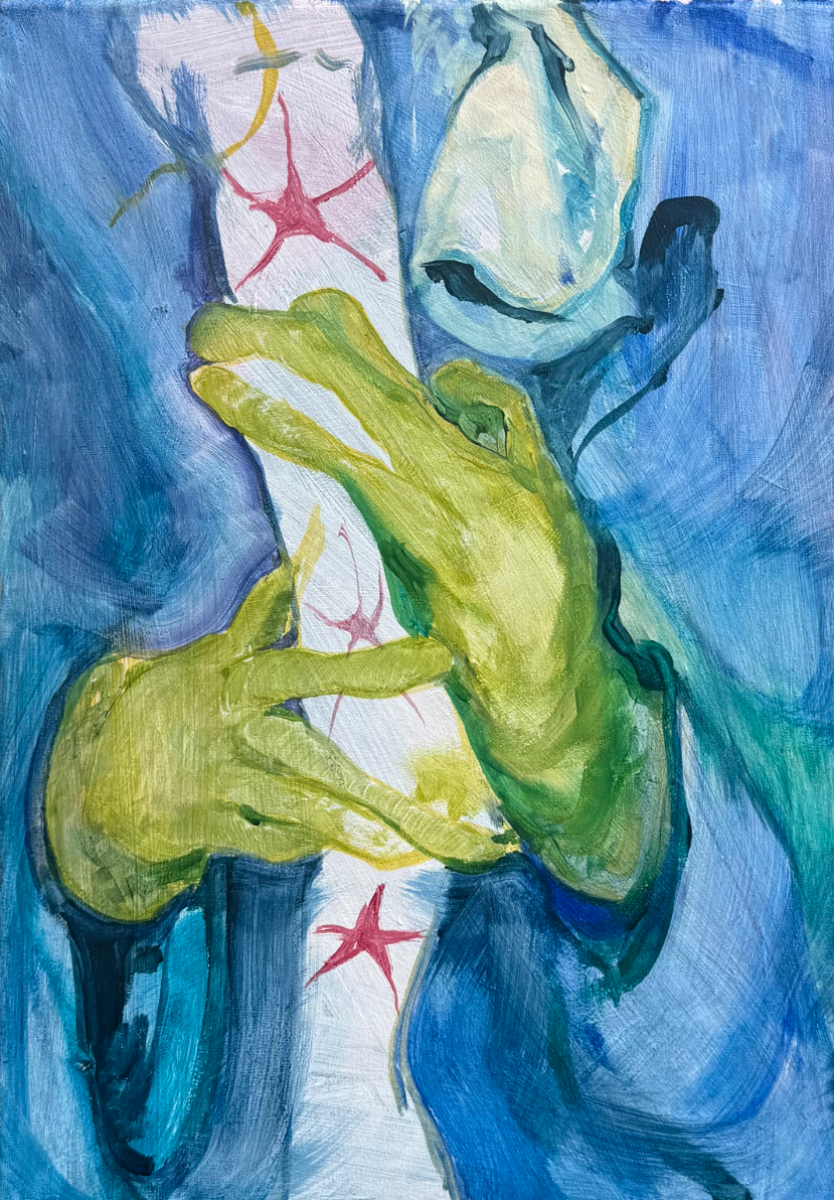 House of lizards, portfolio item 10