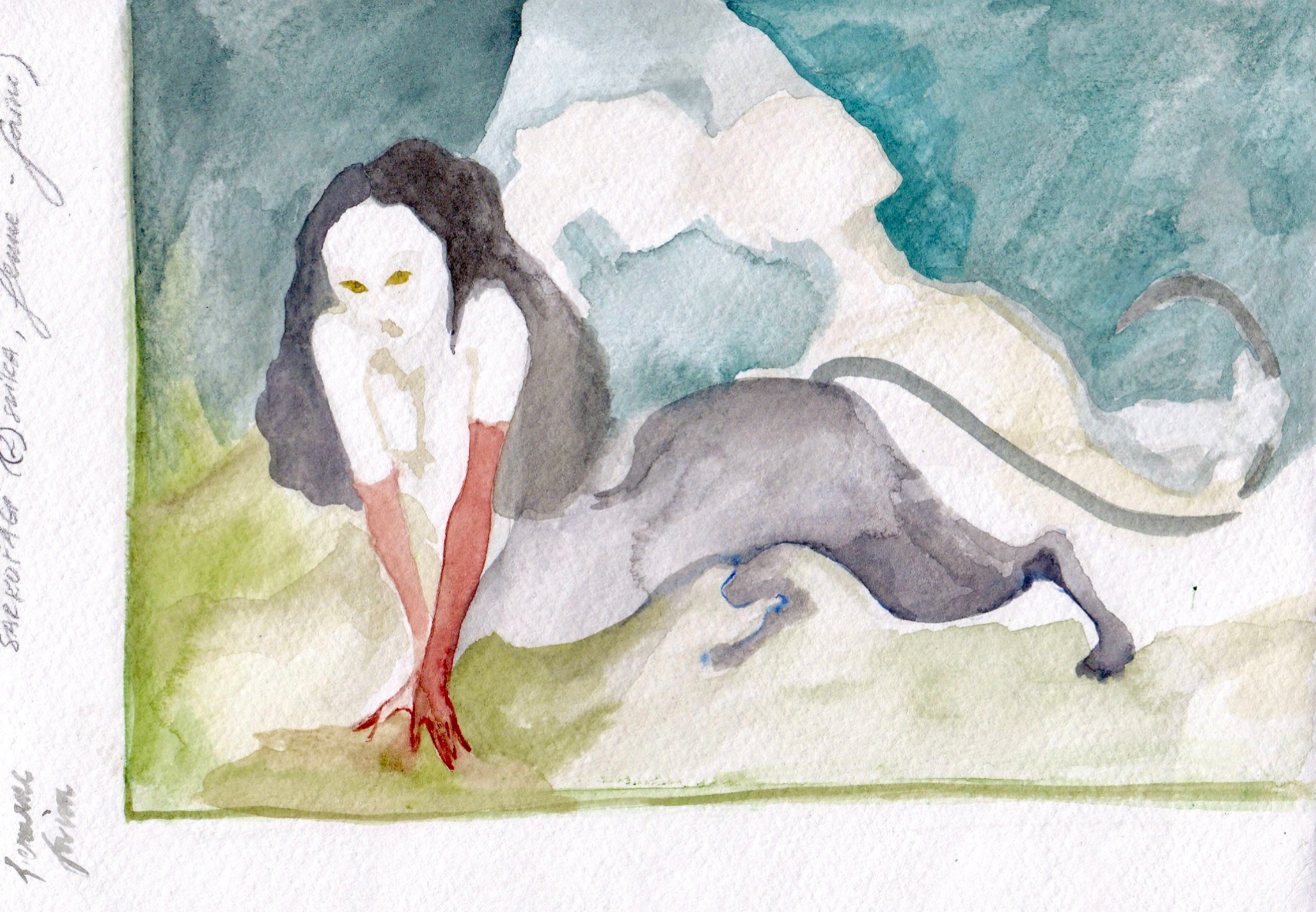 House of lizards, portfolio item 2