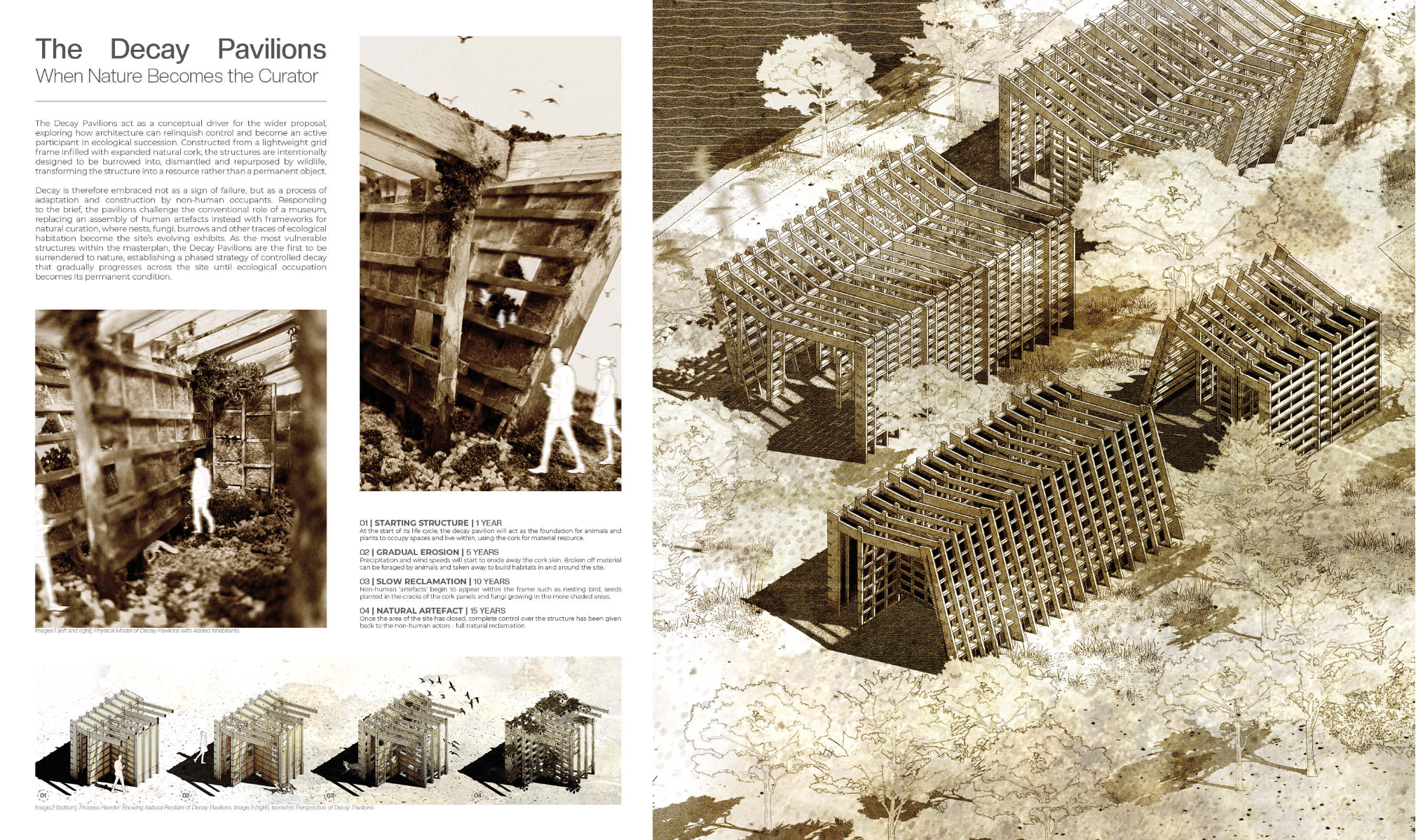 The Museum of decay, portfolio item 3