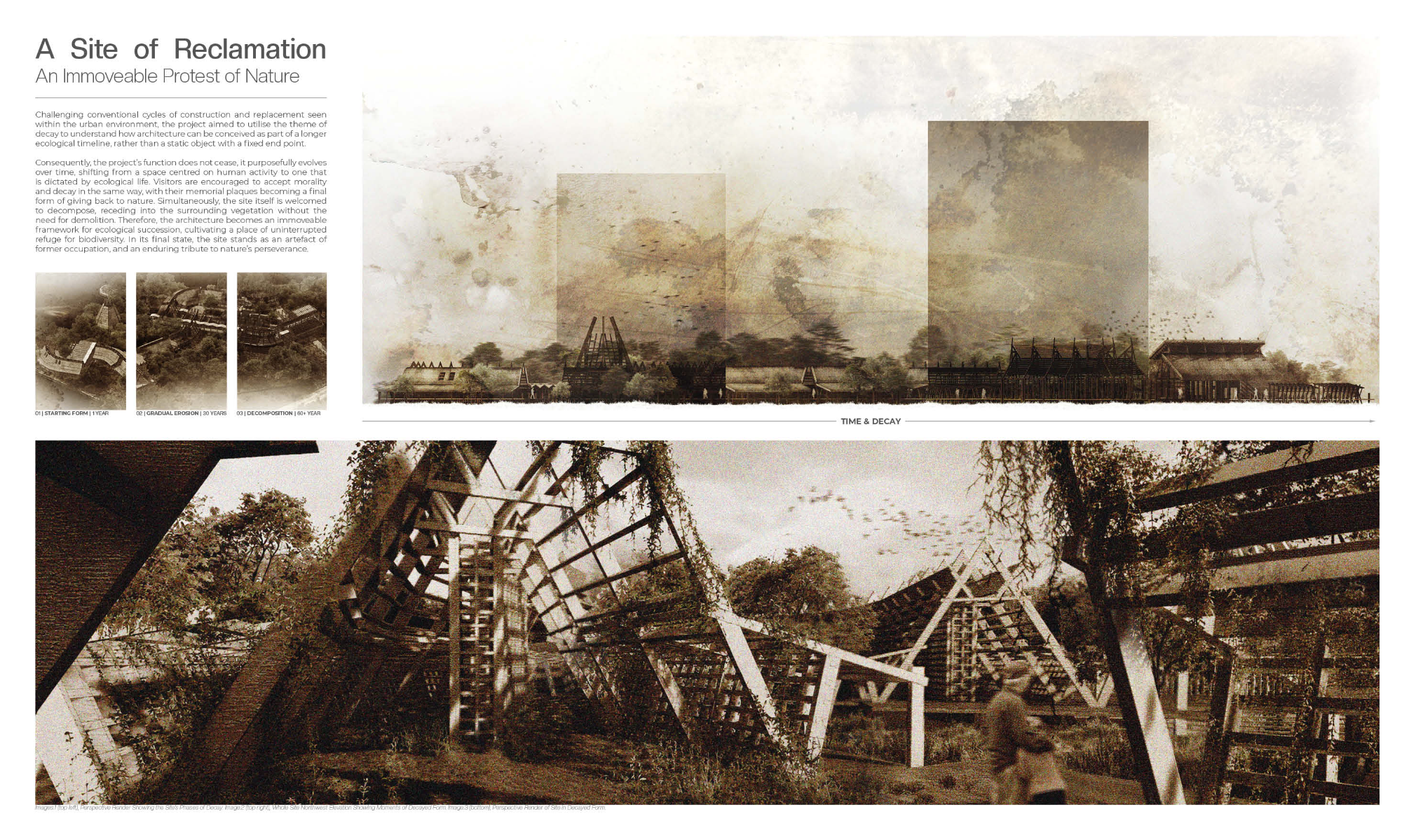 The Museum of decay, portfolio item 9