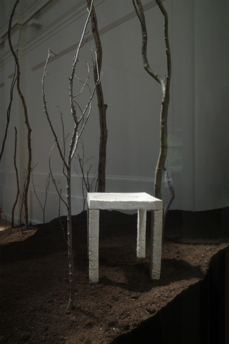 Rerooting Forward: Designing for Death Beyond Fast Furniture, portfolio item 5