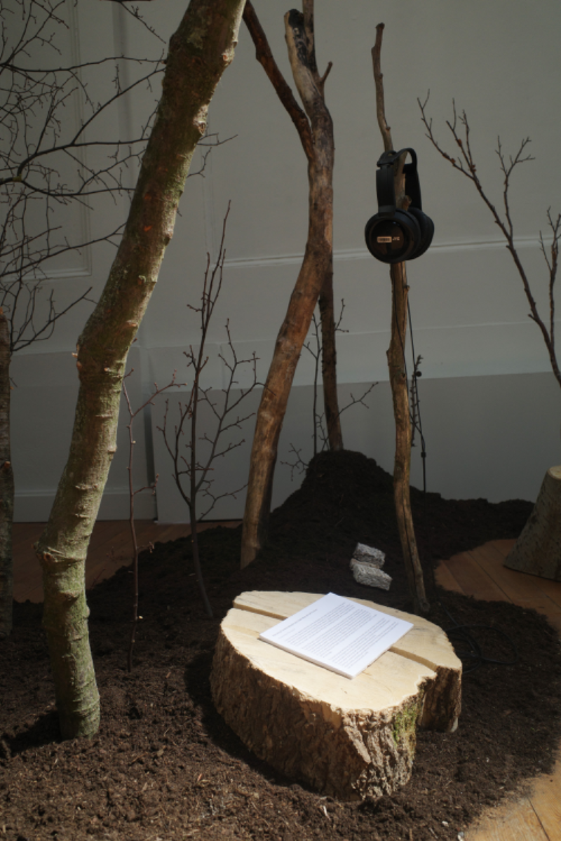 Rerooting Forward: Designing for Death Beyond Fast Furniture, portfolio item 4