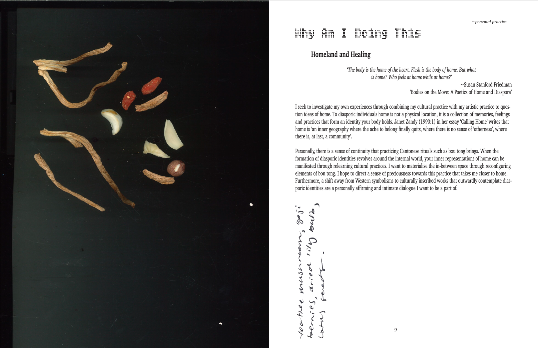 Emergency soup because what is happening right now (2025), portfolio item 4