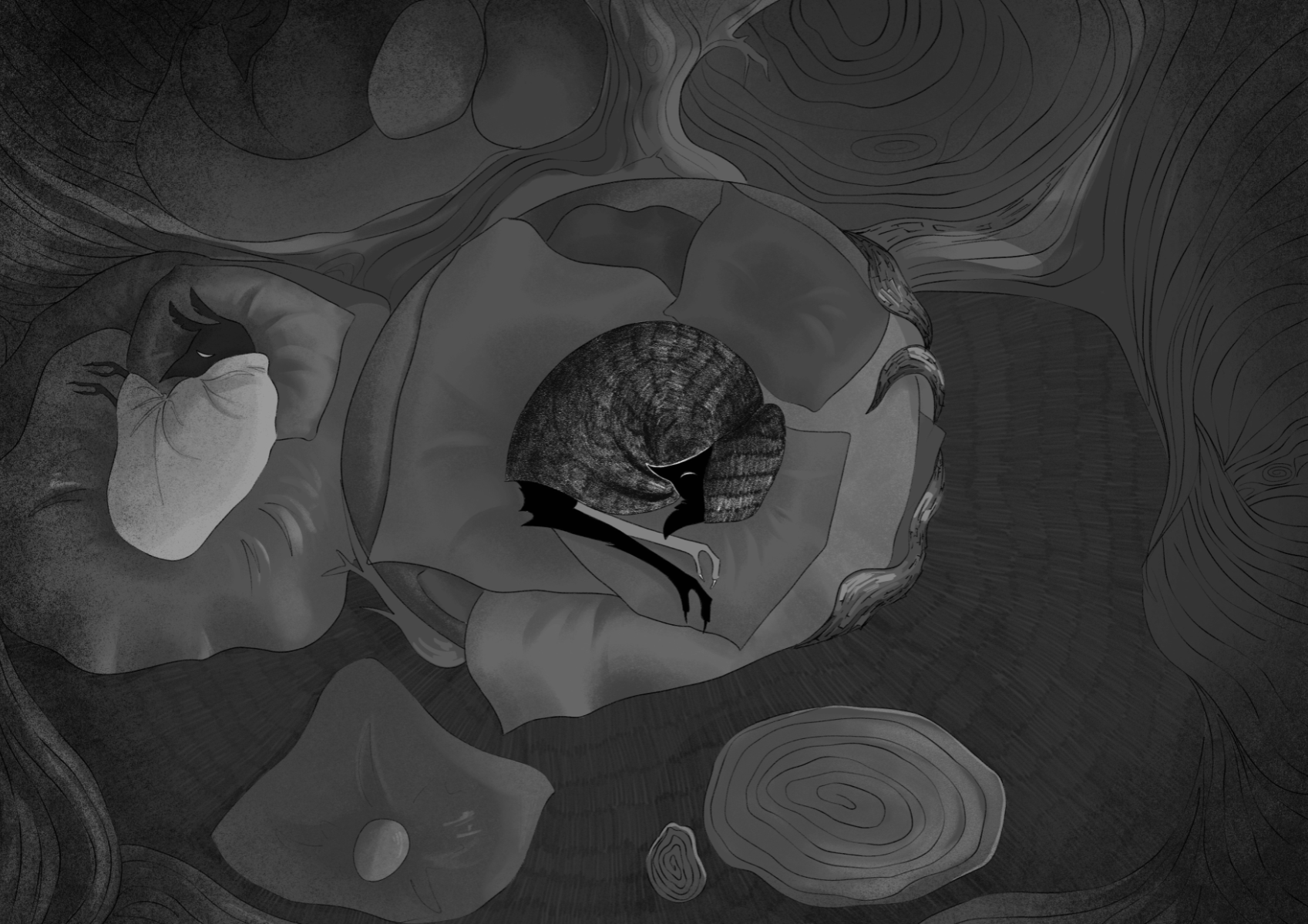 Forget Me Not, portfolio item 6