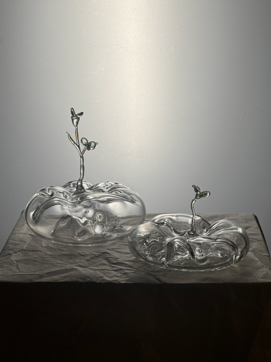The Space Breathes Back, portfolio item 5