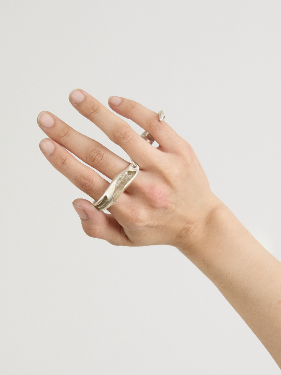 Anitya, portfolio item 8