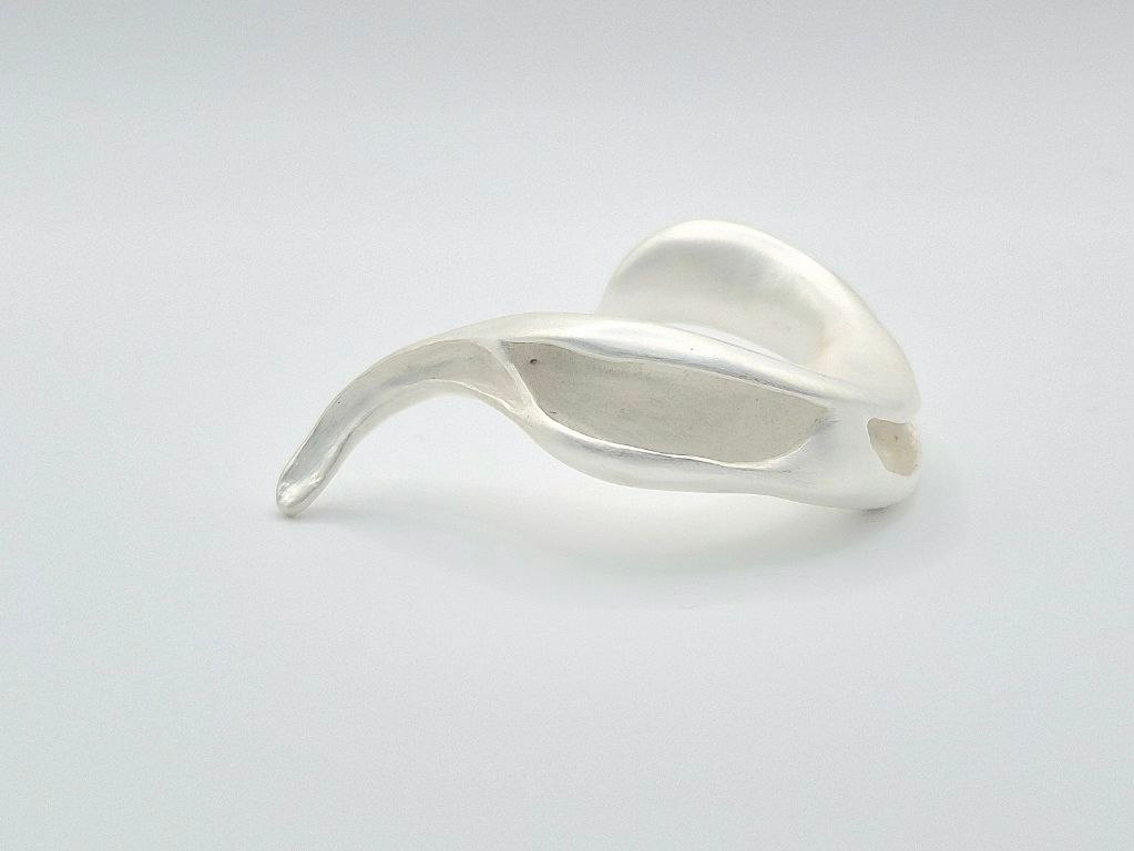 Anitya, portfolio item 3