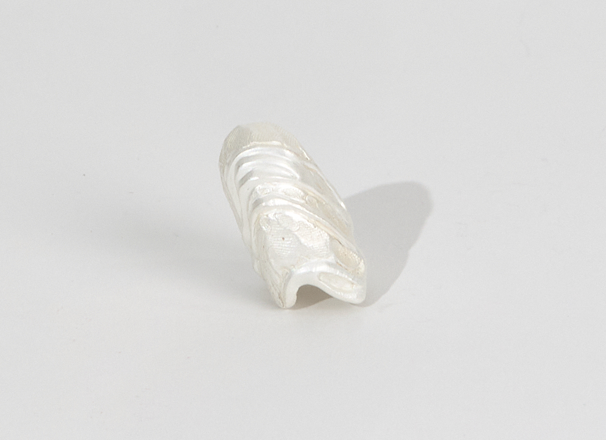 Anitya, portfolio item 10