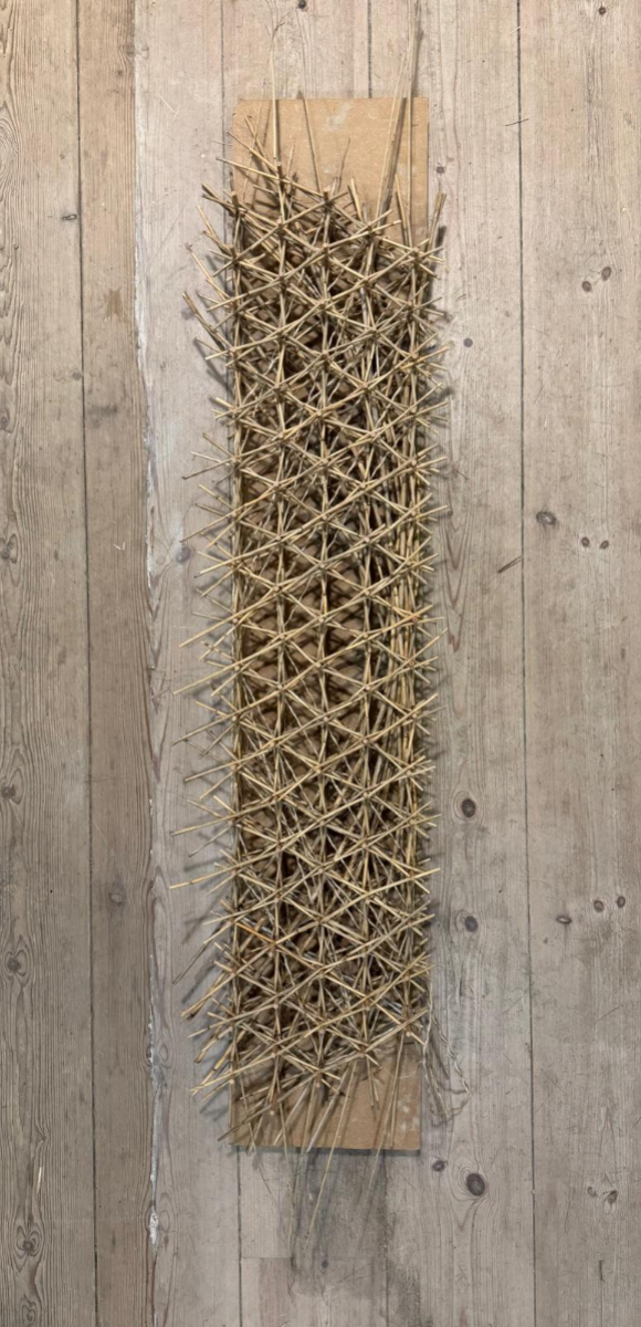 Woven Biogenic Beam, portfolio item 15