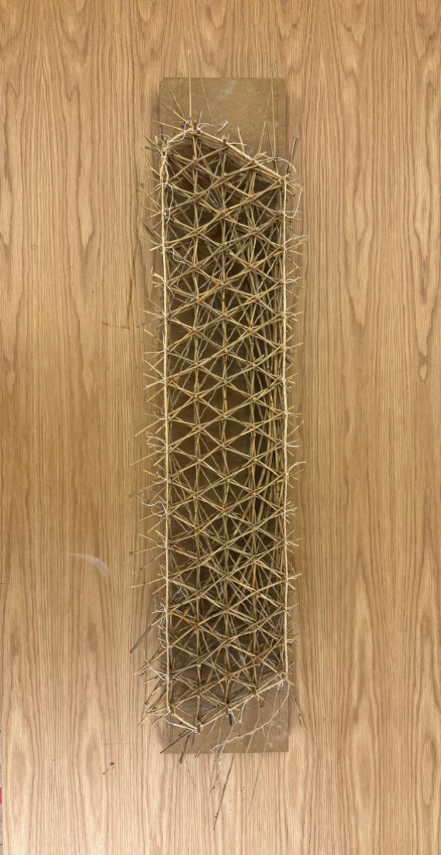 Woven Biogenic Beam, portfolio item 16