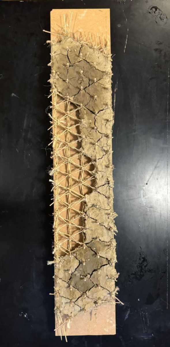 Woven Biogenic Beam, portfolio item 14