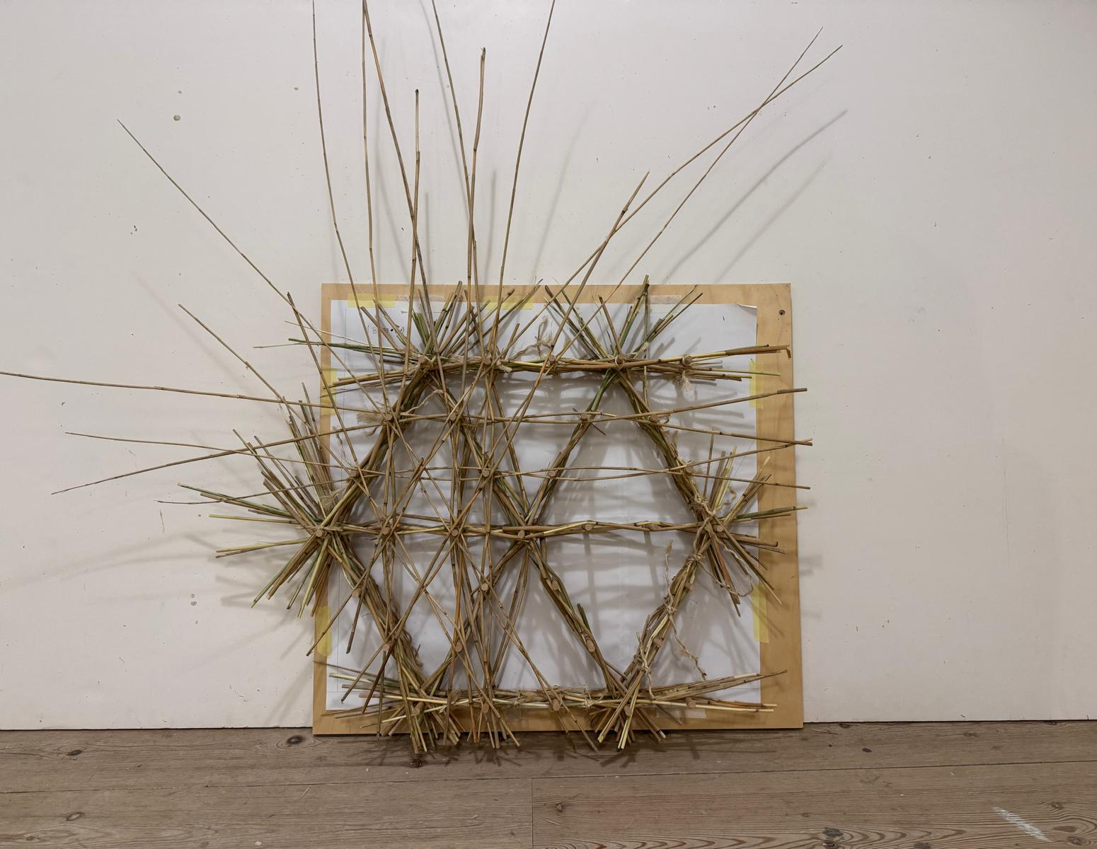 Woven Biogenic Beam, portfolio item 19