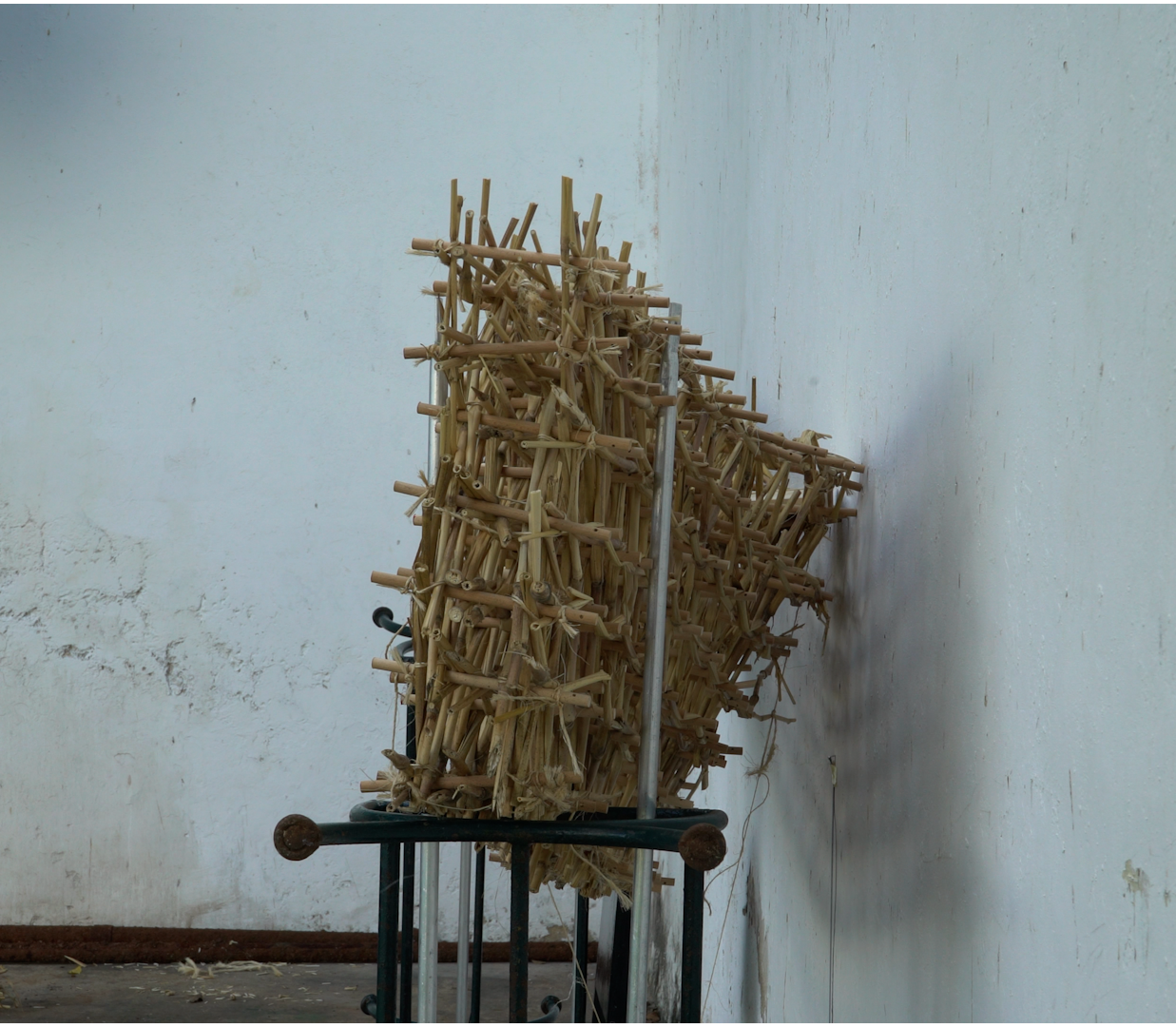Woven Biogenic Beam, portfolio item 13