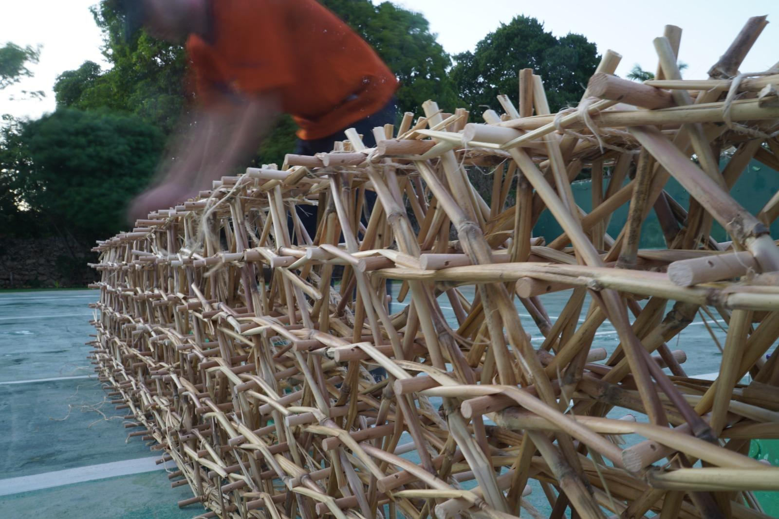 Woven Biogenic Beam, portfolio item 3