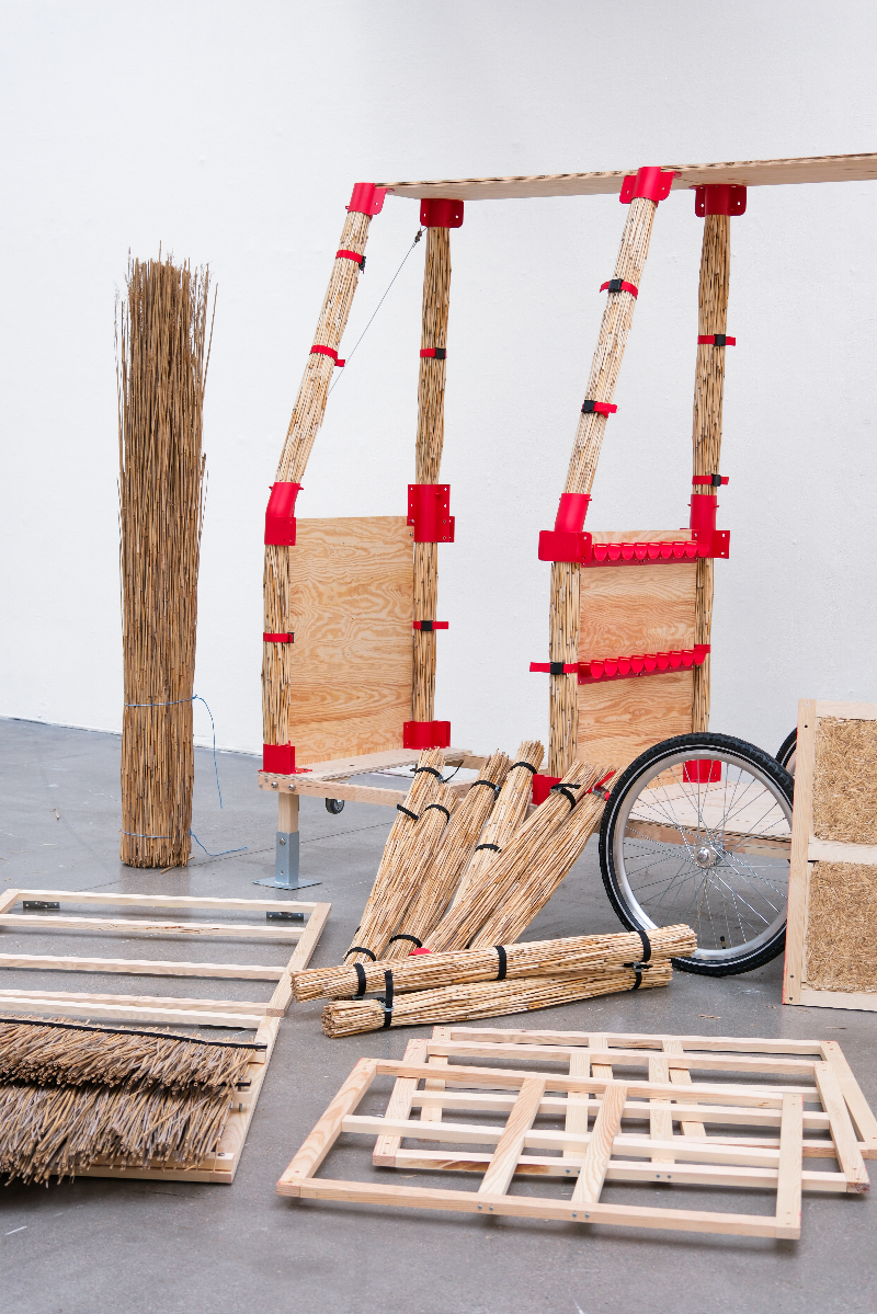 The Reed Cycle community, portfolio item 2