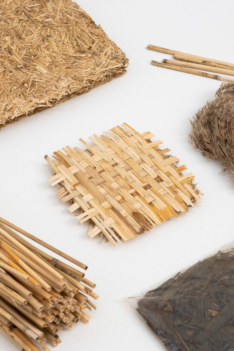 The Reed Cycle community, portfolio item 5