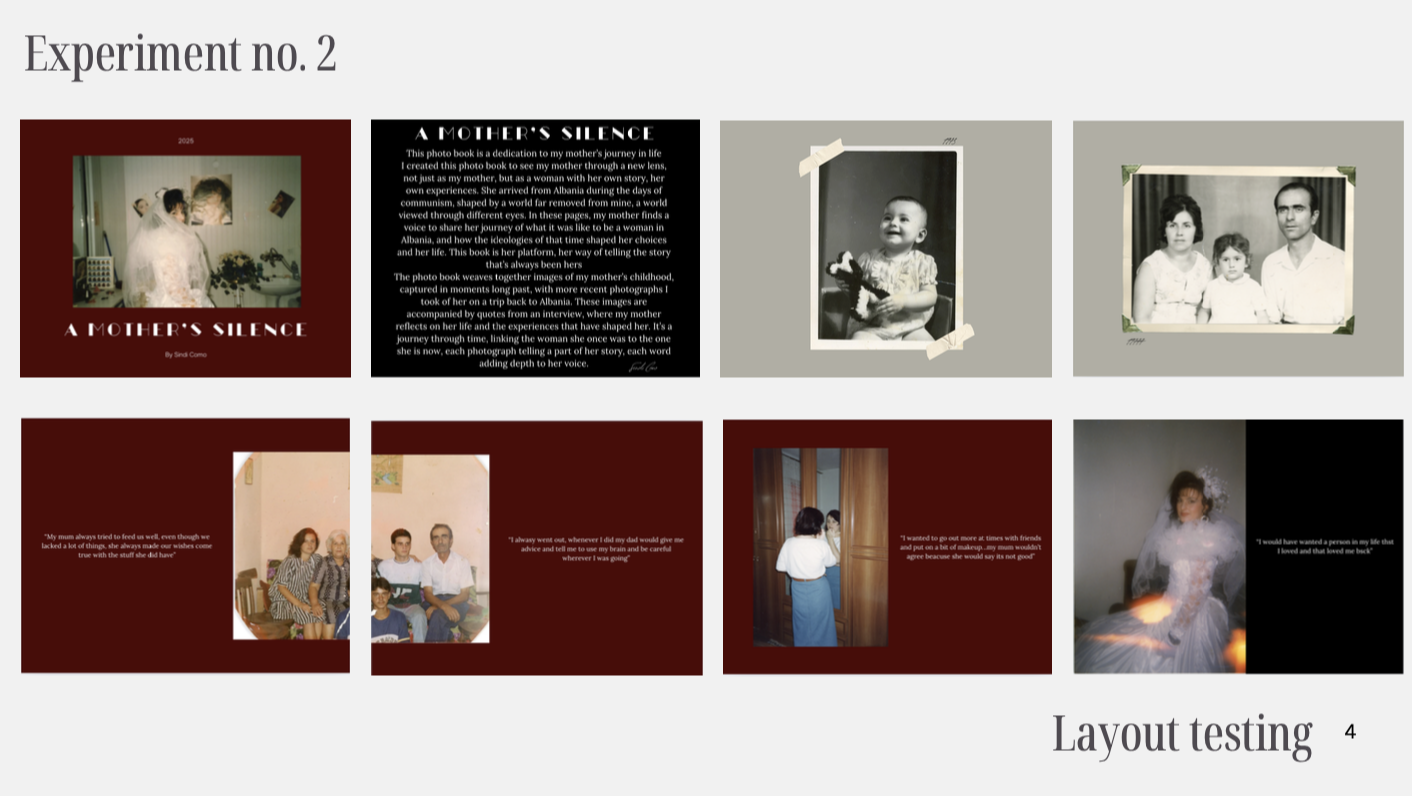 Zamira reka, portfolio item 13