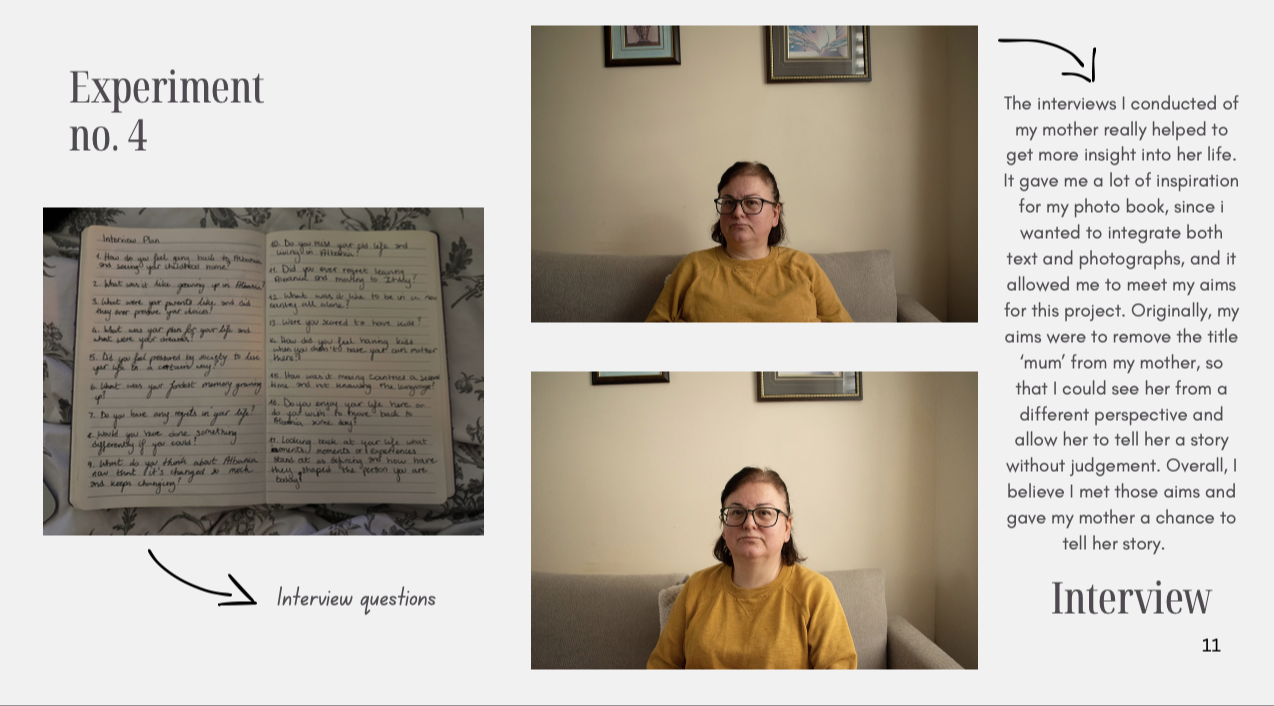Zamira reka, portfolio item 17