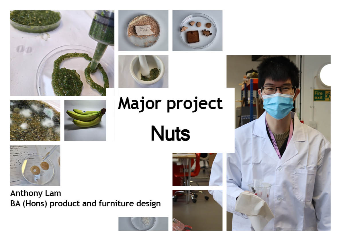 Final major project: Nuts, portfolio item 21
