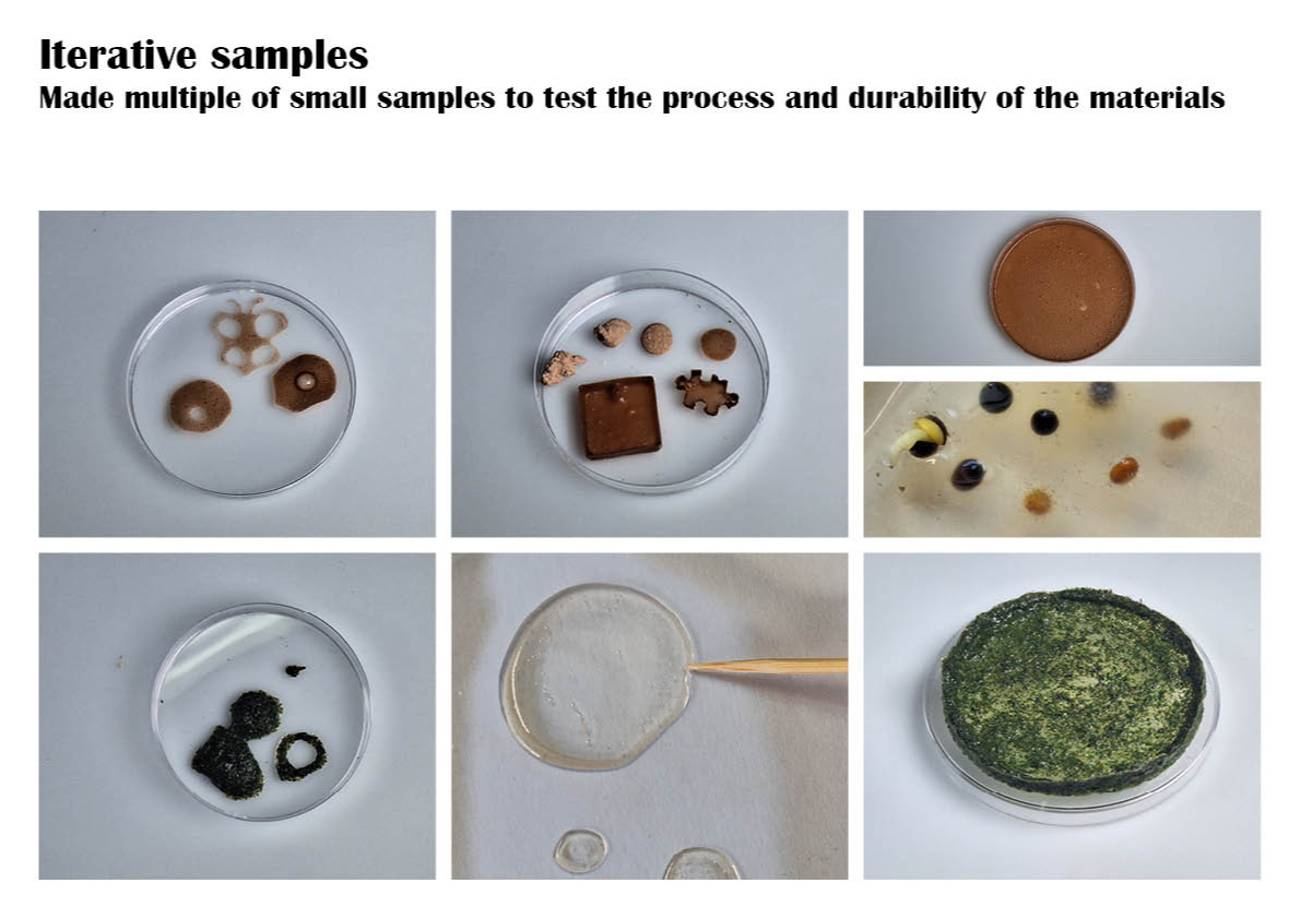 Final major project: Nuts, portfolio item 26