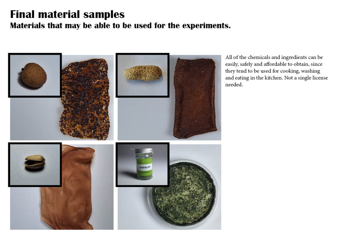 Final major project: Nuts, portfolio item 33