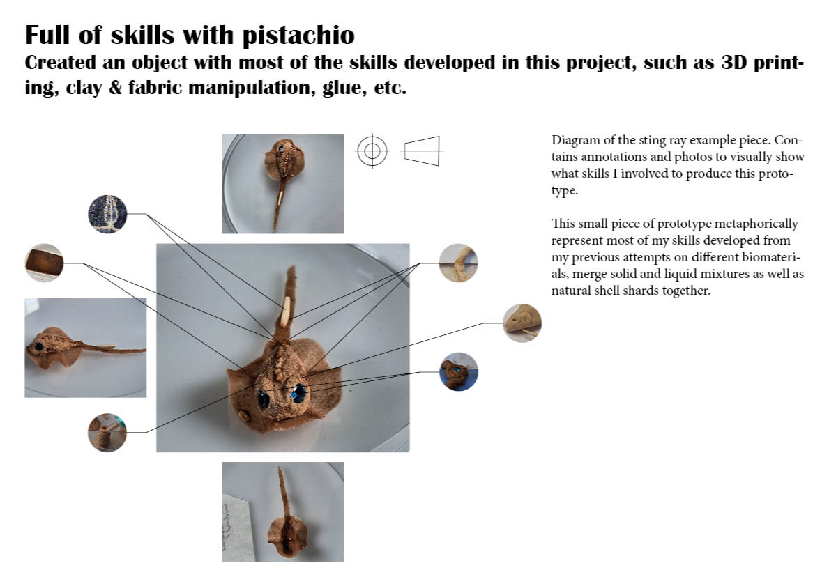 Final major project: Nuts, portfolio item 37
