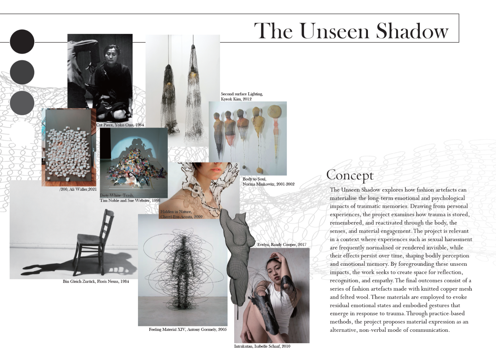 The Unseen Shadow, portfolio item 2