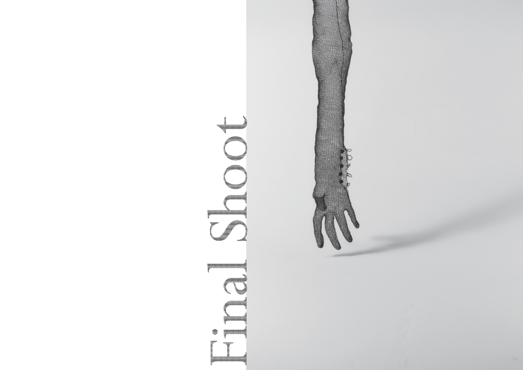 The Unseen Shadow, portfolio item 14