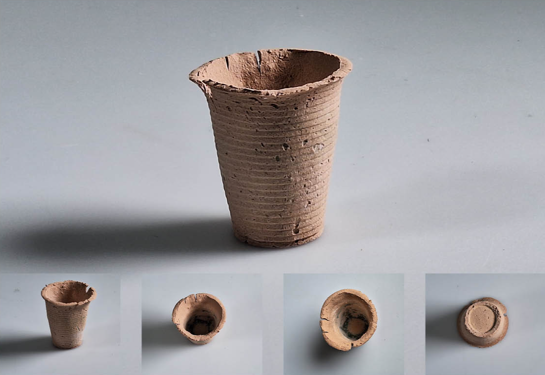 Final major project: Nuts, portfolio item 17