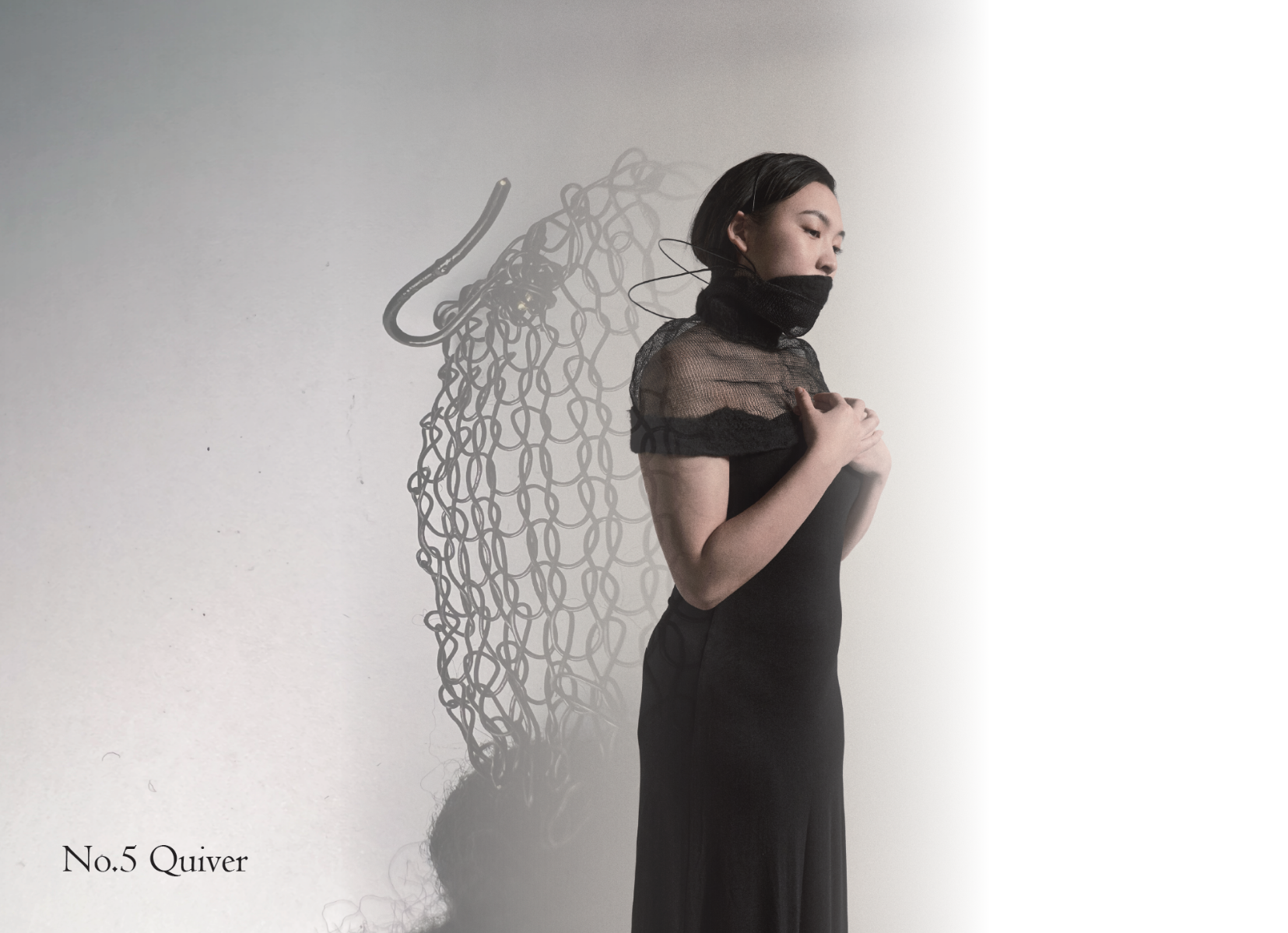 The Unseen Shadow, portfolio item 24