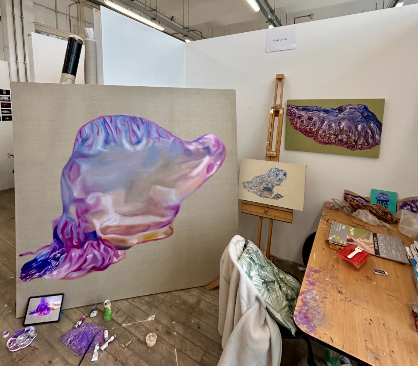Degree show paintings, portfolio item 19