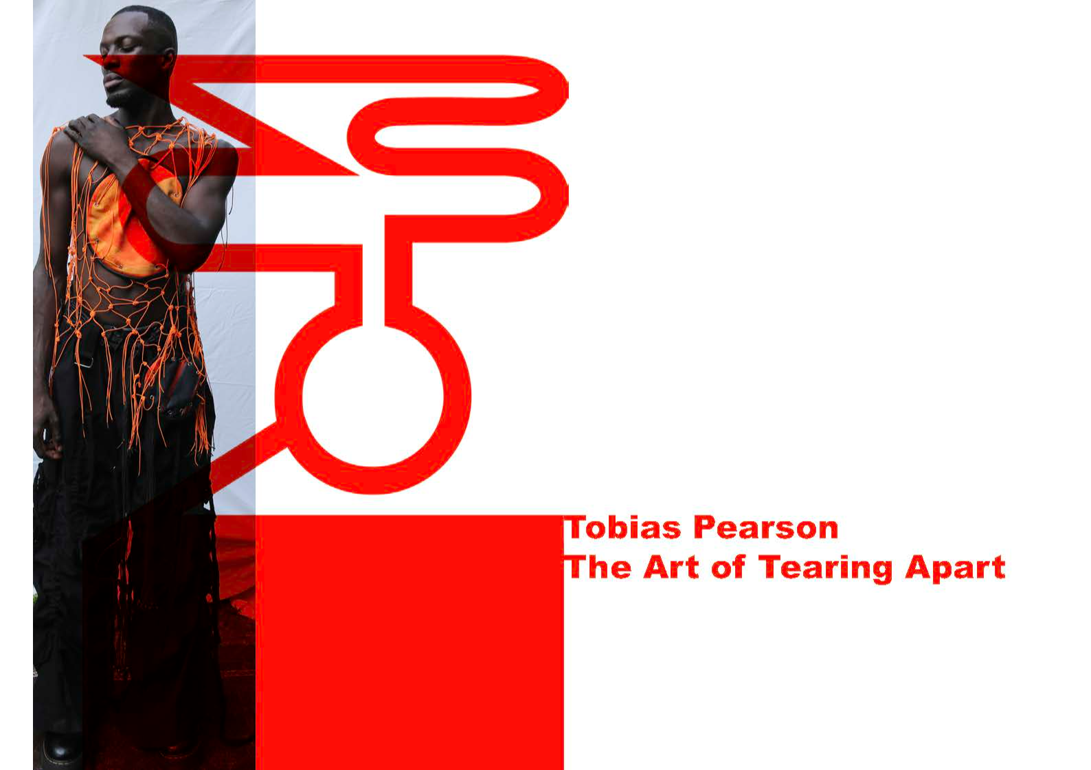 THE ART OF TEARING APART, portfolio item 2