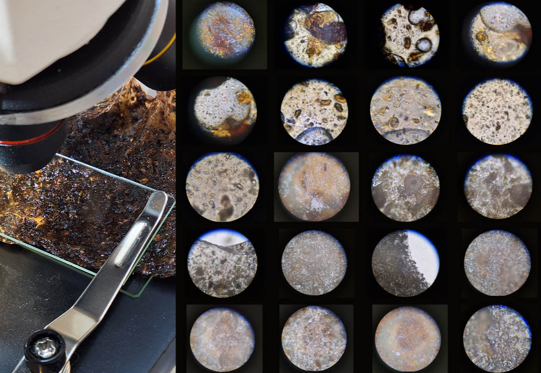 Final major project: Nuts, portfolio item 10