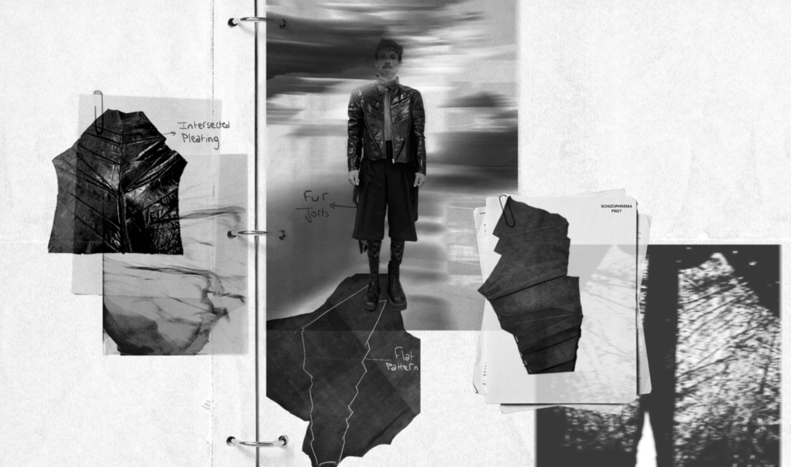 Schizophrenia, portfolio item 5