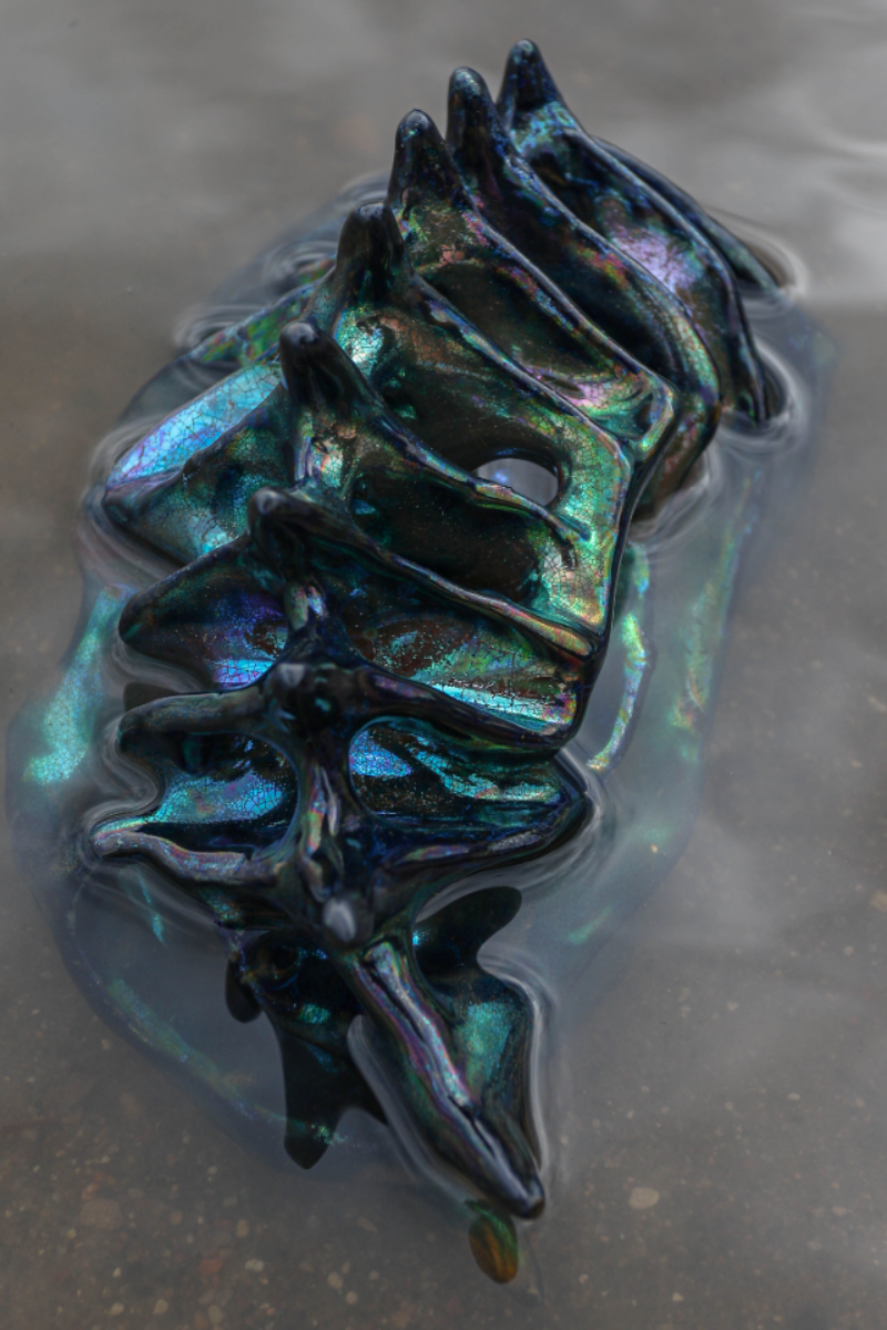 No Creatures, no people, portfolio item 3